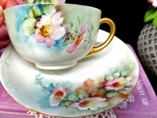 Germany Hand Painted Blossom Pink Tea Cup And Saucer German Porcelain Teacup 1