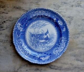 Antique Spode Dinner Plate Bird Plover Blue No.  7 Copeland England