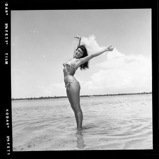 Rare Bettie Page Unpublished 1954 Camera Negative Bunny Yeager Pinup