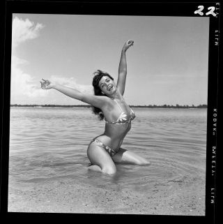 Rare Bettie Page Vintage 1954 Camera Negative Bunny Yeager Bikini Pinup
