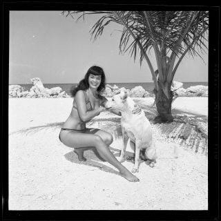 Rare Bettie Page Never Seen 1954 Camera Negative Bunny Yeager Dog Pinup