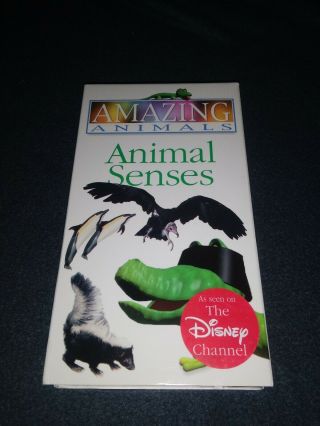 Animals Animal Senses Vhs Tape Rare Disney Channel Vg Rare