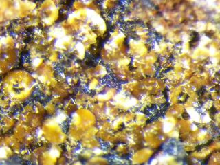 Whitmoreite From Mt.  Des Groseillers,  Blaton,  Hainaut,  Belgium Micromount
